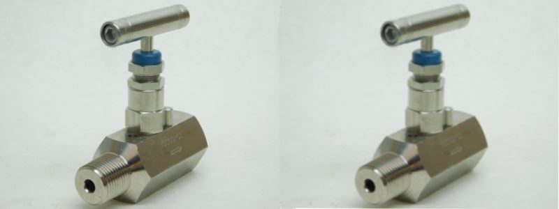 Duplex Steel Needle Valve Manufacturer in India