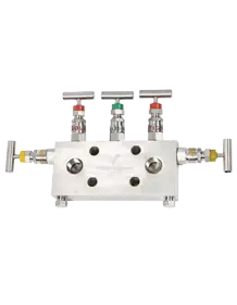 2 WAY MANIFOLD R5