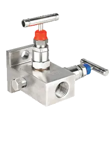 2 WAY MANIFOLD TYPE