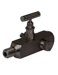 MULTIPORT GAUGE VALVE