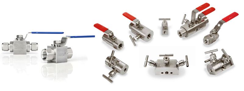 Instrumentation Ball Valve Manufacturer in India